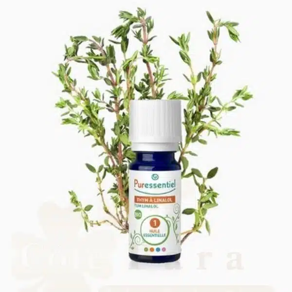 PURESSENTIEL H.E THYM A LINALOL 5ML
