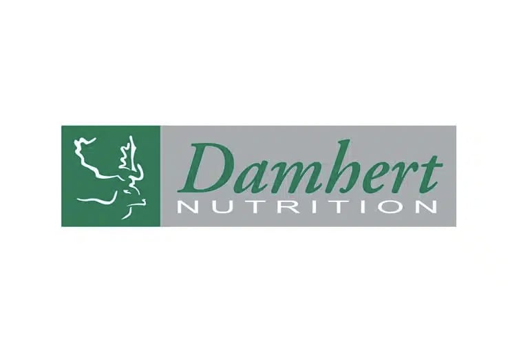 DAMHERT