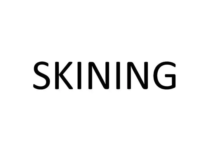 SKINING