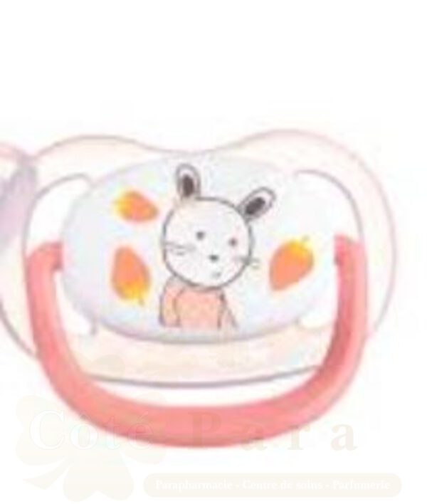 BEBE CONFORT SUC PHYSIO CONFORT GARDNER ROSE 0-6M 6891