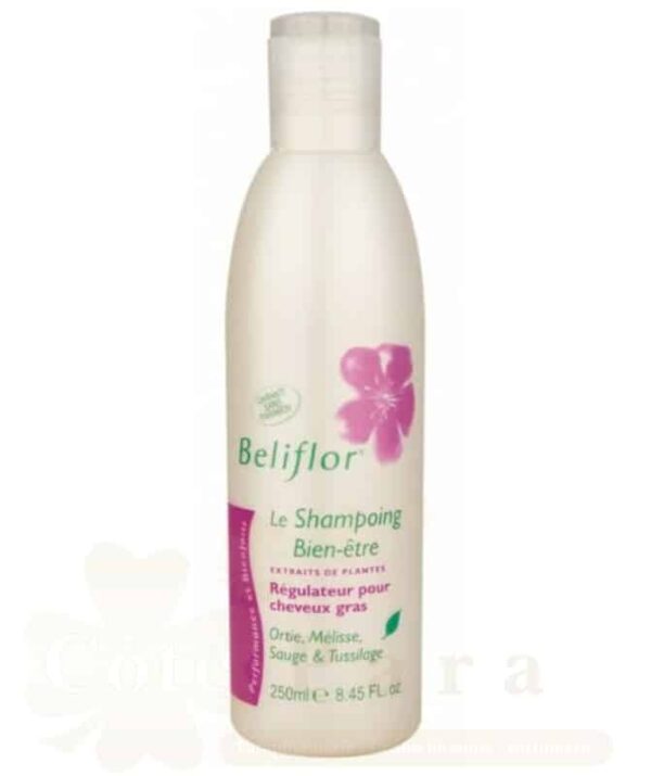 BELIFLOR SHAMPOING REGULATEUR POUR CHEVEUX GRAS 250ML