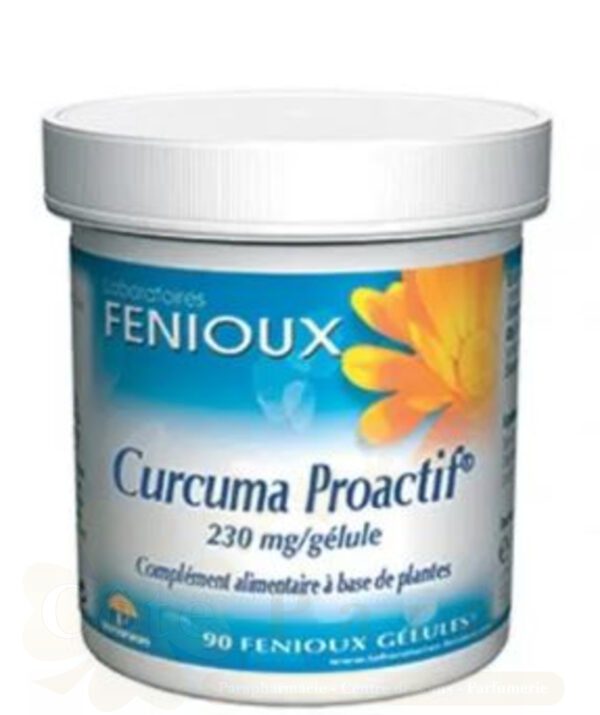 FENIOUX CURCUMA PROACTIF  PILLULIER 90 GÉLULES