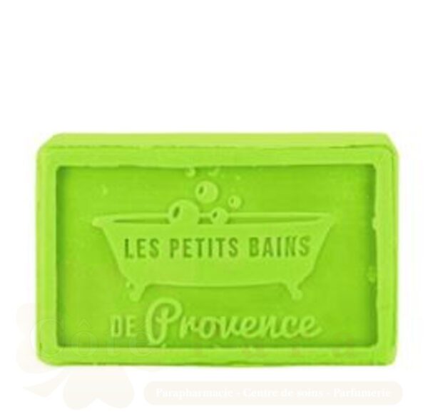 LES PETITS BAINS DE PROVENCE SAVON DE MARSEILLE ALOE VERA 100GR