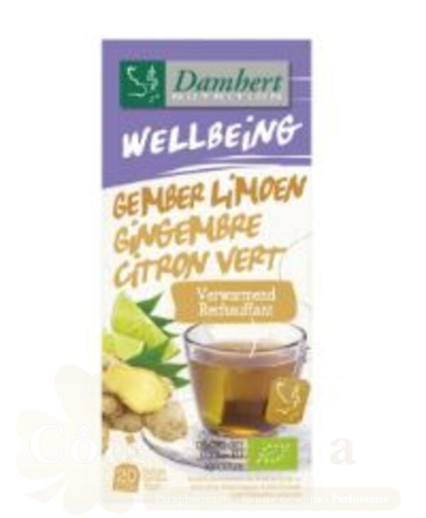 DAMHERT WELLBEING TISANE GEMBER LIMOEN 20*1 75G