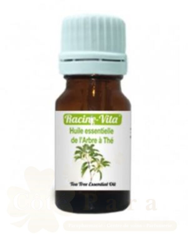 RACINE VITA HUILE ESSENTIELLE DE L'ARBRE A THÉ