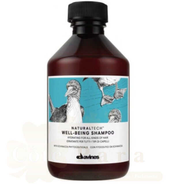 DAVINES NATURAL WELL BEING SHAMPOING 250ML